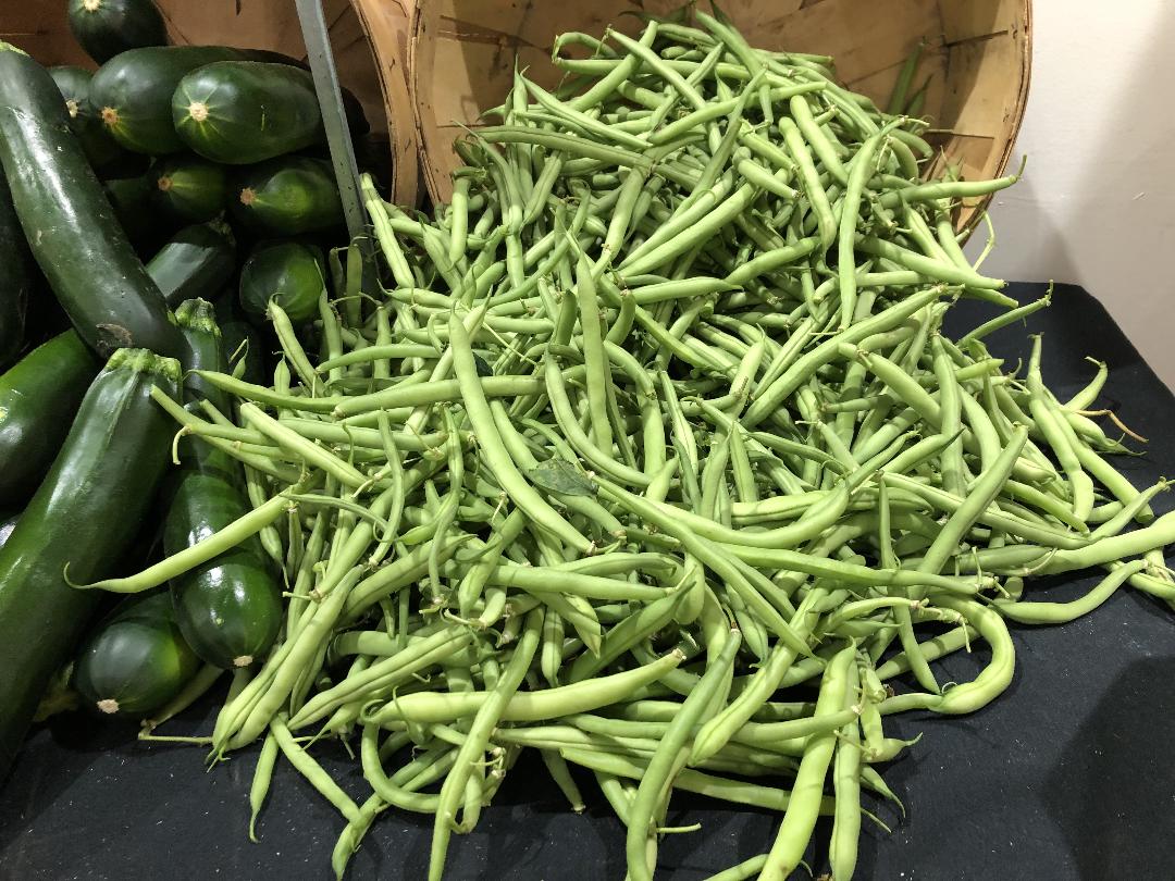 Homegrown Green Beans Rhoads Garden Center