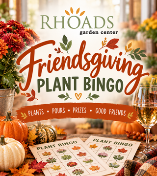 Friendsgiving Plant Bingo