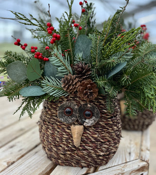 Owl Porch Pot