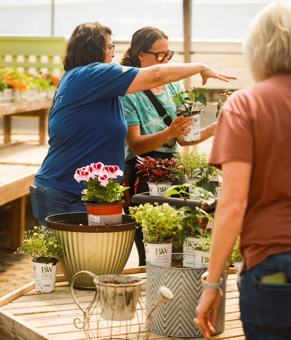 Spring Potting Parties