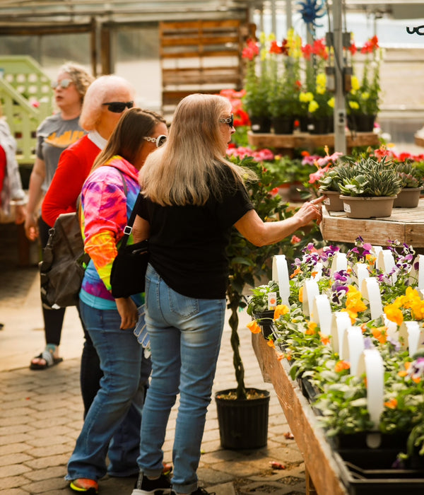 Spring Potting Parties