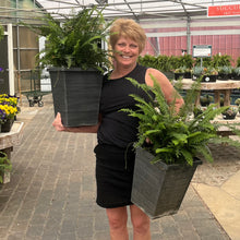Load image into Gallery viewer, Porch Planter for the shade