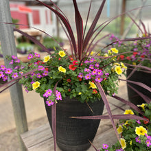 Load image into Gallery viewer, Rhoads Container Garden