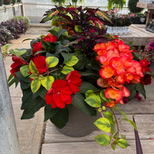 Load image into Gallery viewer, Porch Planter for the shade