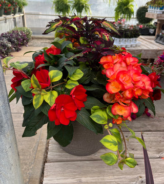 Porch Planter for the shade