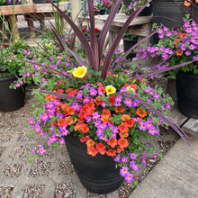 Load image into Gallery viewer, Rhoads Container Garden