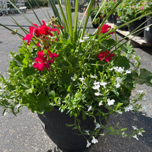 Load image into Gallery viewer, Rhoads Container Garden