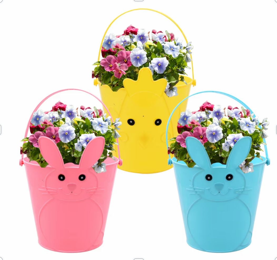 Pansy Easter Basket Planting