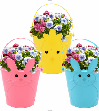 Pansy Easter Basket Planting