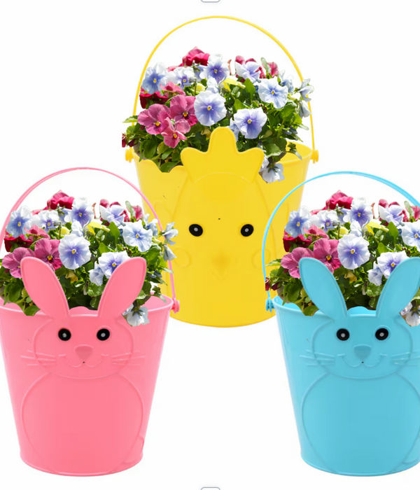 Pansy Easter Basket Planting