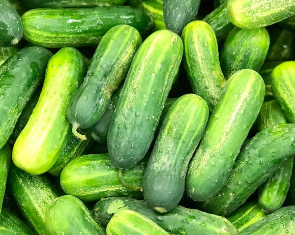 Pickling Cucumbers Per Pound