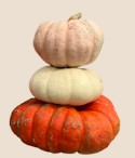 Logan Elm Pumpkin Tower