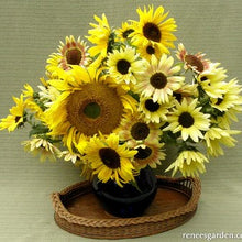 Load image into Gallery viewer, Renee&#39;s Heirloom Summer Garden Sunflower Scatter Seeds