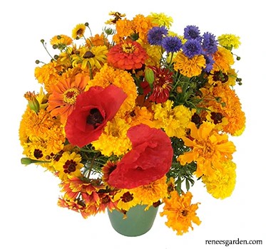 renee's garden seeds retailers Renee's Garden Cut Flower Scatter Seeds – Rhoads Garden Center