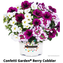 Load image into Gallery viewer, Confetti Garden Drop-In