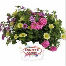 Load image into Gallery viewer, Confetti Garden Drop-In