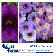 Load image into Gallery viewer, Combination Hanging Baskets