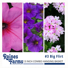 Load image into Gallery viewer, Combination Hanging Baskets