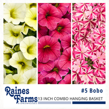 Load image into Gallery viewer, Combination Hanging Baskets