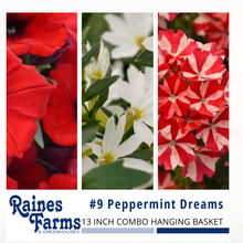 Load image into Gallery viewer, Combination Hanging Baskets