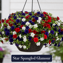Load image into Gallery viewer, Combination Hanging Baskets