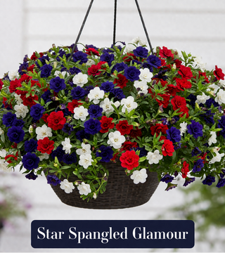 Combination Hanging Baskets