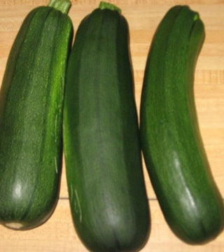 Homegrown Zucchini