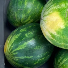 Load image into Gallery viewer, Watermelon - Seedless