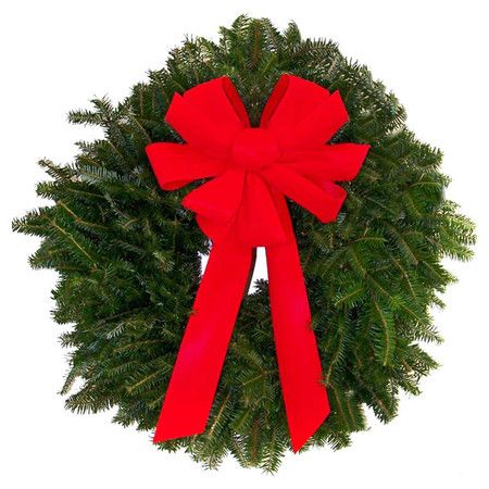 Wreath - Fraser Fir 20-22