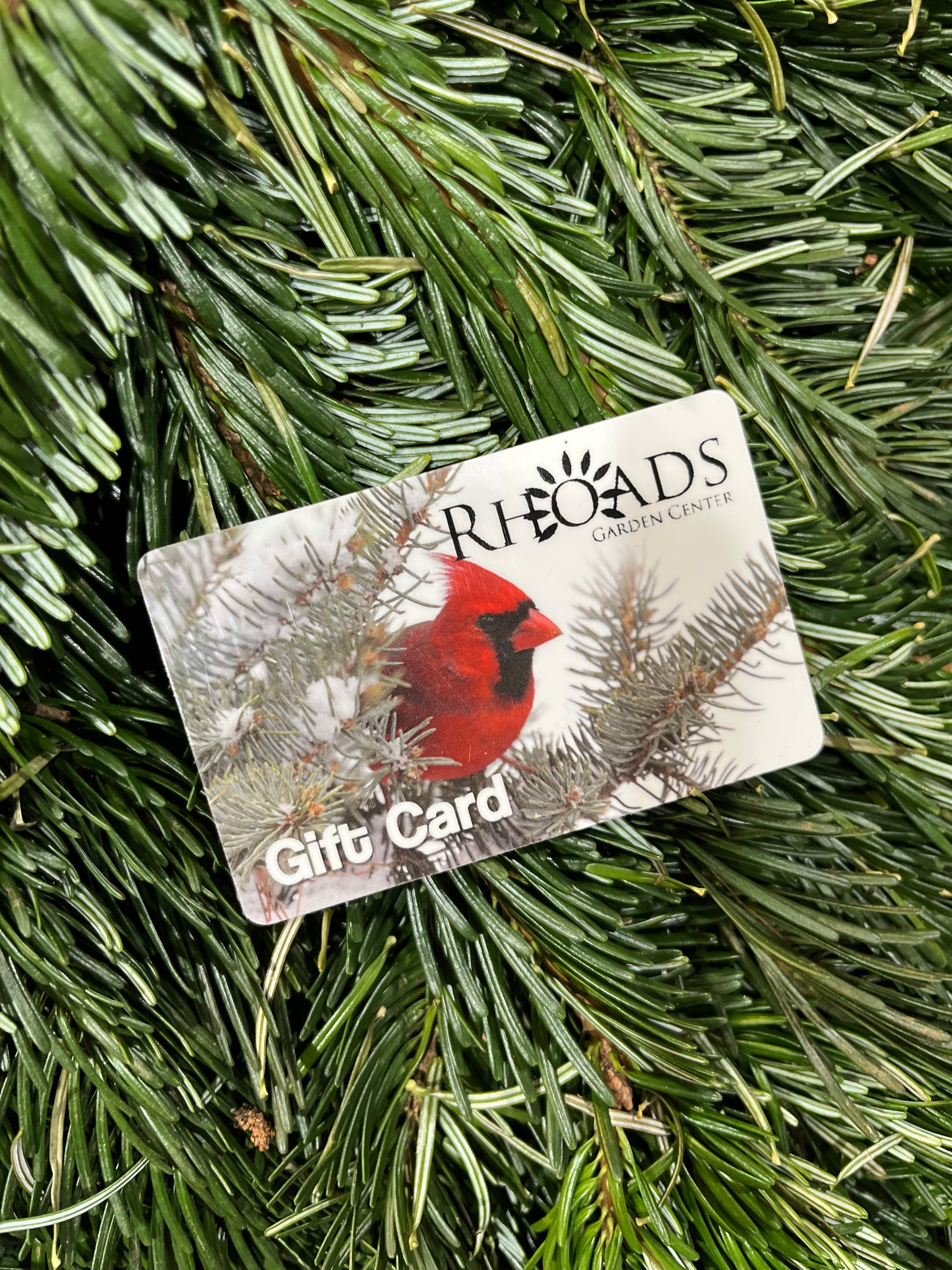 Green Friday $100 Gift card with $25 Bonus Card