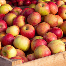 Load image into Gallery viewer, Honeycrisp Apples 1/2 peck