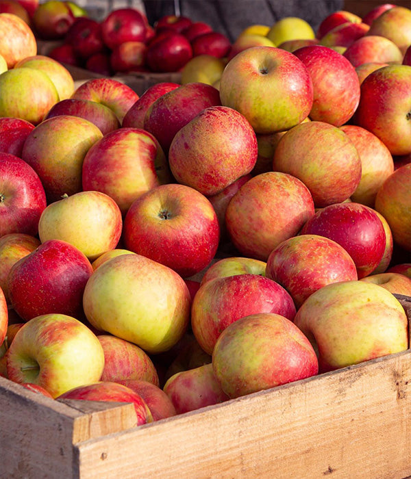 Honeycrisp Apples 1/2 peck