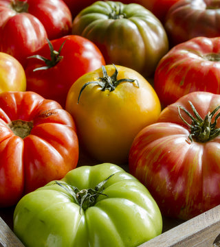 Rhoads Tomato Fest