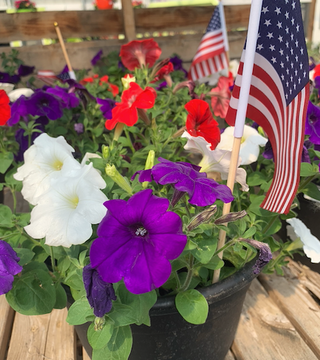 Memorial Day Planter