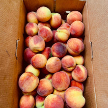 Load image into Gallery viewer, South Carolina Peaches (25lb case)