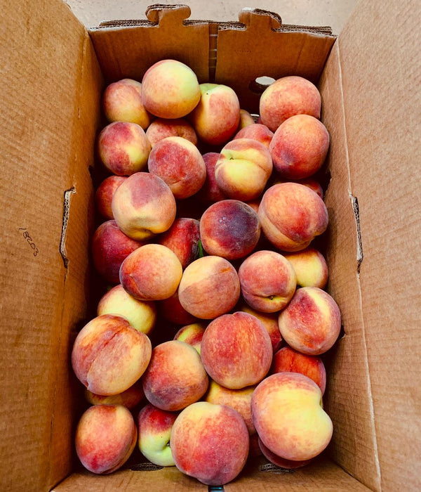 South Carolina Peaches (25lb case)