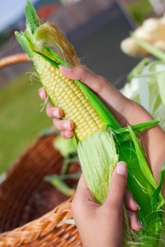 Sweet Corn Shucking per 1/2 Doz