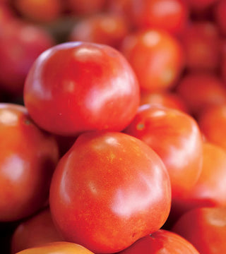 Tennessee Tomatoes