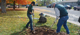 Planting Misc