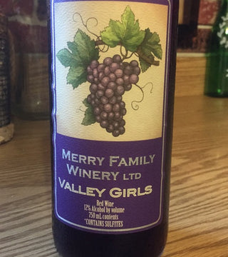 Merry Family Valley Girls